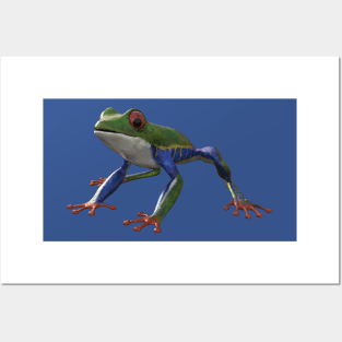 Frog/Red-Eyed Amazon Tree Frog (Agalychnis Callidryas) 3d rendering Posters and Art